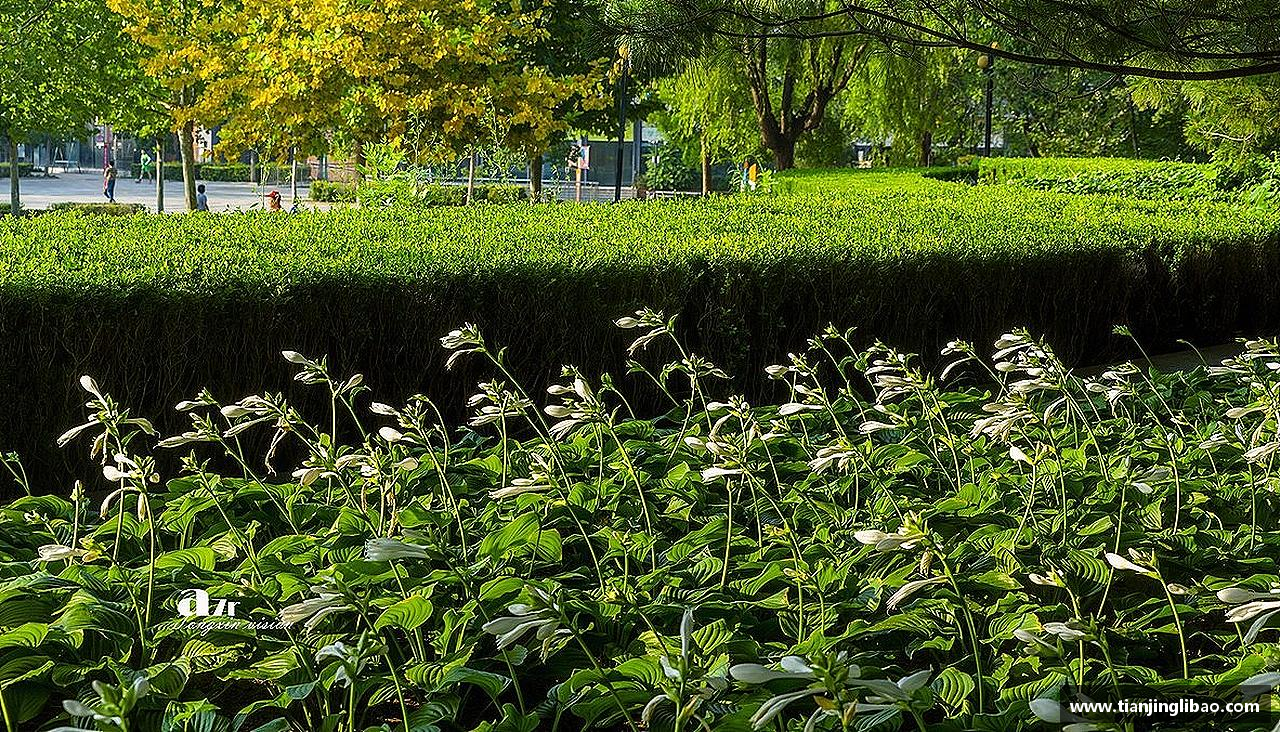 激情不灭，精神永存